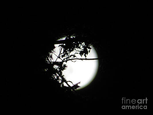 Spotlight Moon by Leara Nicole Morris-Clark Spotlight Moon by Leara Nicole Morris-Clark