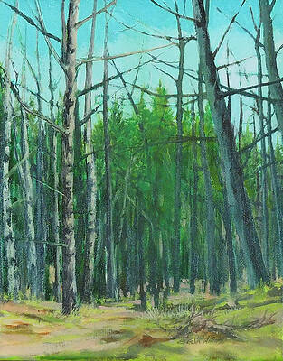 Wall Art - Painting - Spring Aspens by E Colin Williams ARCA