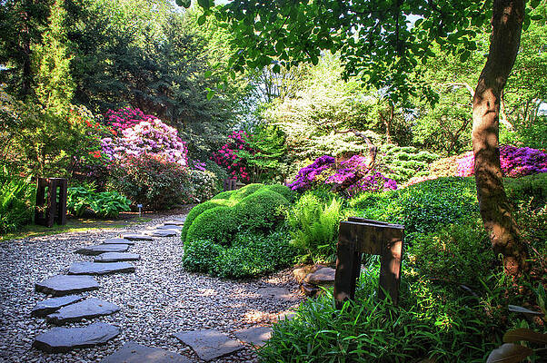 Wall Art - Photograph - Spring Blooms in Japanese Garden 4. Prague by Jenny Rainbow