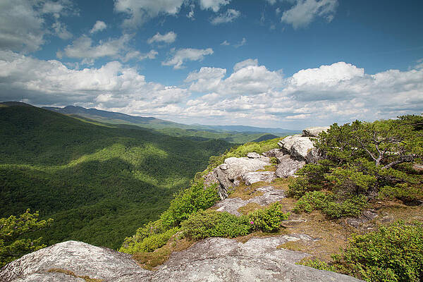 Spring Cliffs by Jim Neal Spring Cliffs by Jim Neal