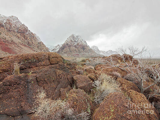 Spring Mountain Ranch by Balanced Art Spring Mountain Ranch by Balanced Art