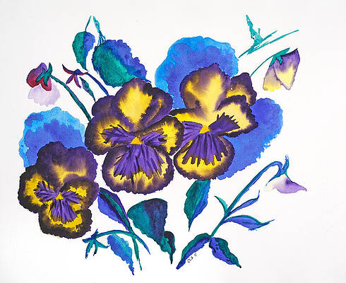 Spring Pansies #2 by Cynthia Schoeppel