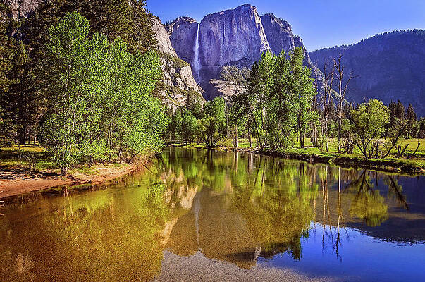 Spring Reflections of Yosemite Falls by Lynn Bauer Spring Reflections of Yosemite Falls by Lynn Bauer