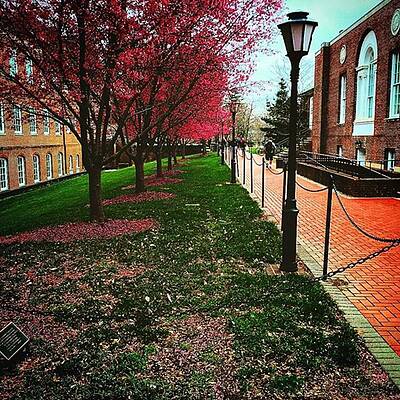 Wall Art - Photograph - Spring Time At The University Of by Alex Schmidt
