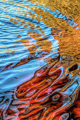 Wall Art - Photograph - St Johns Reflection XVI by Stacey Sather