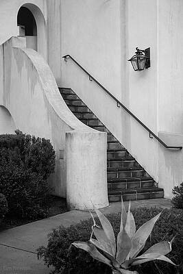 Wall Art - Photograph - Stairway by Tim Newton