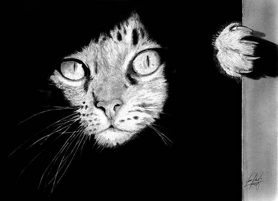 Stalker Cat by James Schultz Stalker Cat by James Schultz