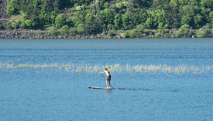 Wall Art - Photograph - Stand Up Paddleboard by Tom Cochran