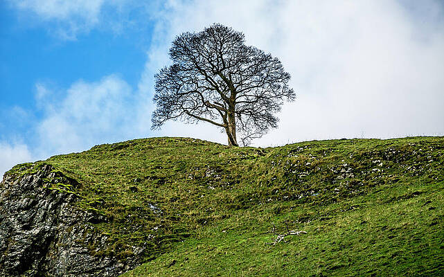 Standing Proud by Makk Black Standing Proud by Makk Black