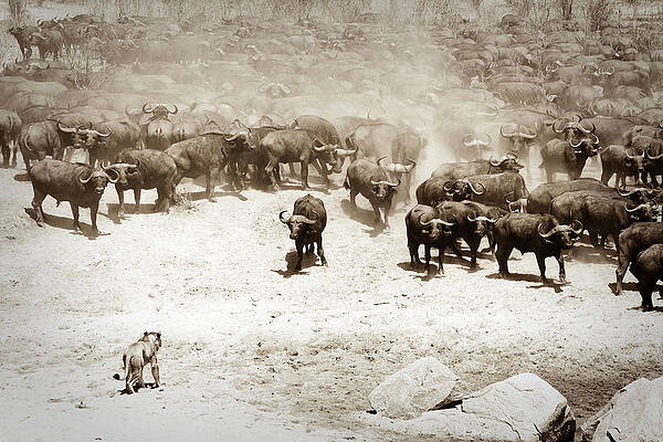 Standoff by Skyler Russell
