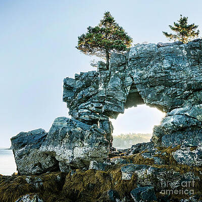 Star Point Rock by Susan Garver Star Point Rock by Susan Garver