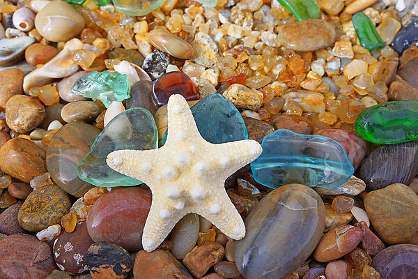 Starfish Art Prints Star Fish Seaglass Sea Glass by Baslee Troutman Art Prints Starfish Art Prints Star Fish Seaglass Sea Glass by Baslee Troutman Art Prints