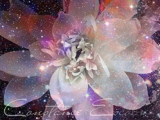 Starlight by Constance Burrell