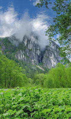 Stawamus Chief  by Danny Nind