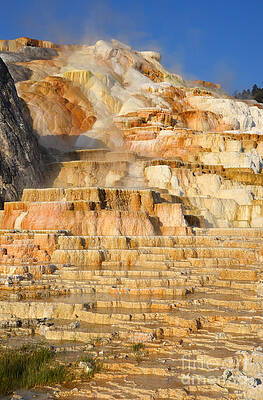 Wall Art - Photograph - Steamy Travertine Hot Spring Terraces at Mammoth Hot Springs Yellowstone National Park by Shawn O'Brien