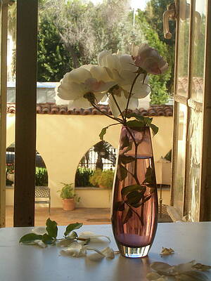 Still Life in Window 3 by Kathryn Donatelli Still Life in Window 3 by Kathryn Donatelli