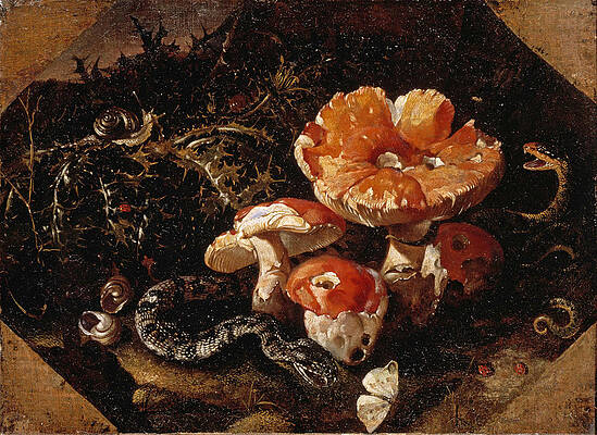 Still Life with Serpents Fly Agarics and Thistles Print by Paolo Porpora