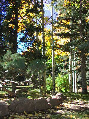 Stone Park Trails by Deleas Kilgore