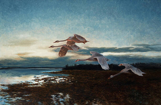 Swan Lake Paintings (Page #3 of 28) | Fine Art America