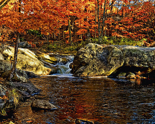 Wall Art - Photograph - Stream In Autumn 58 by Mark Myhaver