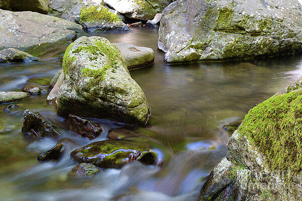 Water Photograph - Stream In Columbia Gorge by Bruce Block
