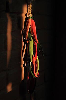 Wall Art - Photograph - String Chilis by David Diaz