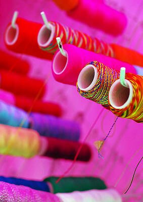 Wall Art - Photograph - String Theory by Skip Hunt