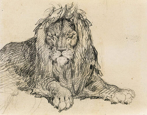 Study of a Lion Print by Theodore Gericault