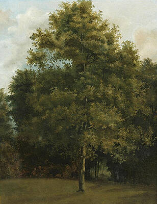 Study of a Tree Print by Attributed to Jules Coignet