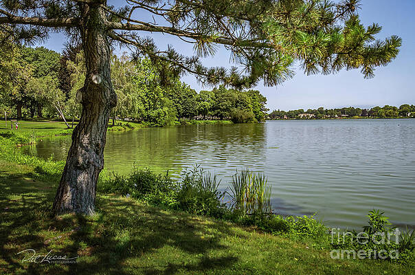 Summer day at Lake Quannapowitt by Pat Lucas Summer day at Lake Quannapowitt by Pat Lucas