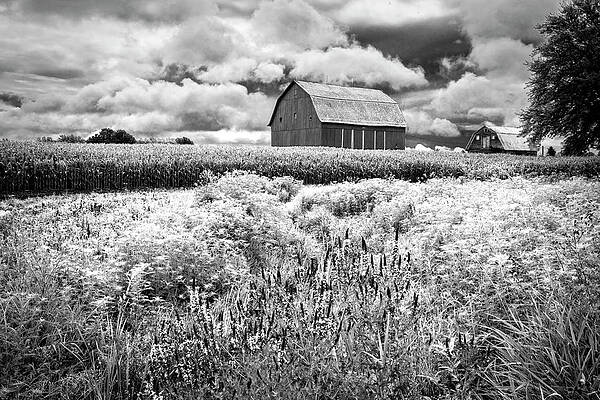 Amish Wall Art (Page #20 of 35) | Fine Art America