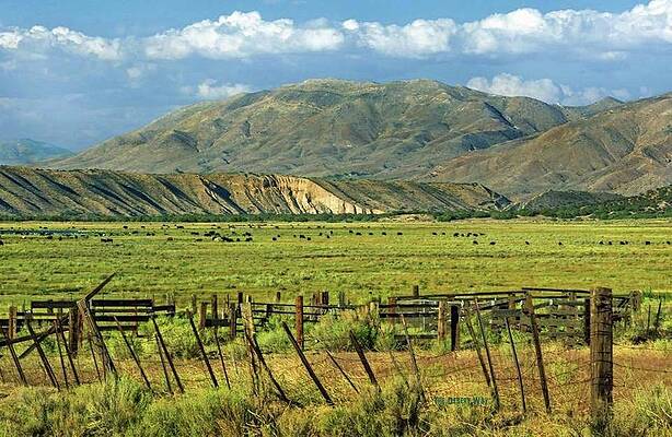 Los Flores Ranch by The Desert Way