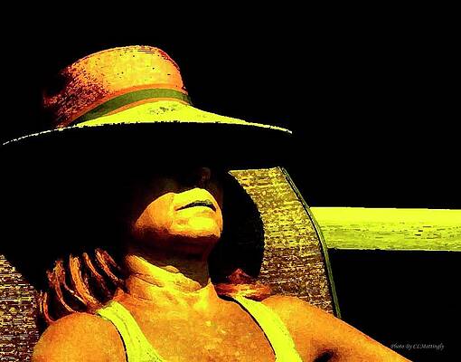 Wall Art - Photograph - Sun Bathing by Coke Mattingly