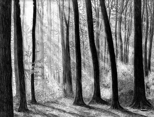 Pencil Drawings (Page #9 of 35) | Fine Art America