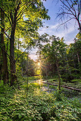 Wall Art - Photograph - Sundown at Creekside by Rod Best