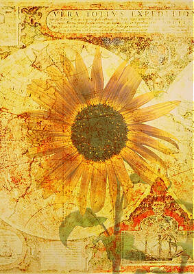 Wall Art - Photograph - Sunflower World by Cathie Tyler