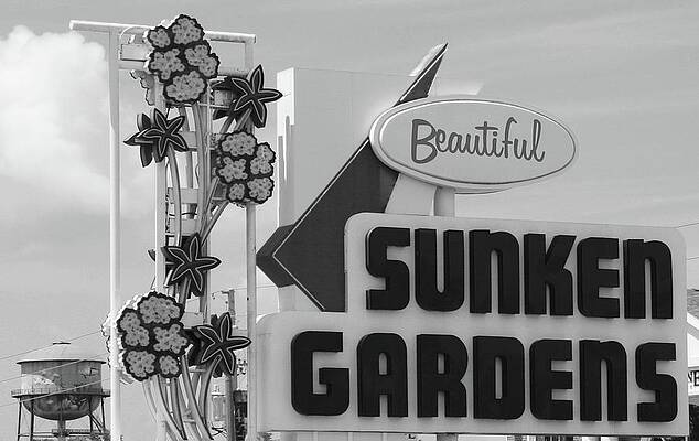 Wall Art - Photograph - Sunken Gardens by Robert Wilder Jr