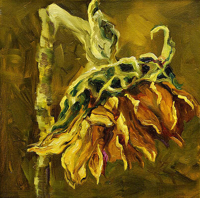 Wall Art - Painting - Sunny Sunflower by Diane Whitehead