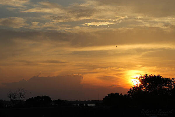 Wall Art - Photograph - Sunset In The Park by Robert Banach