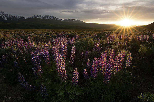 Wall Art - Photograph - Sunset over the Gore Range by Aaron Spong