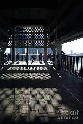 Wall Art - Photograph - Sunshine and Shadows  by Julia Gavin