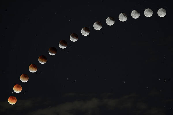 Wall Art - Photograph - Super Blood Moon by Surjanto Suradji
