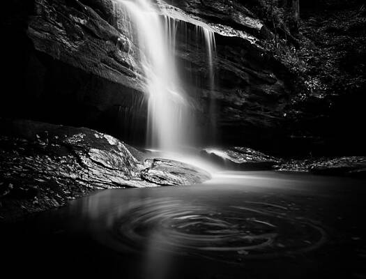 Wall Art - Photograph - Swirling by Joye Ardyn Durham