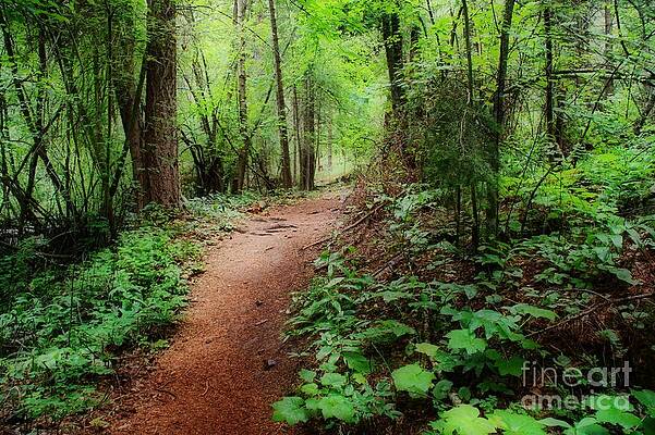 Take Me There by Danielle Basler