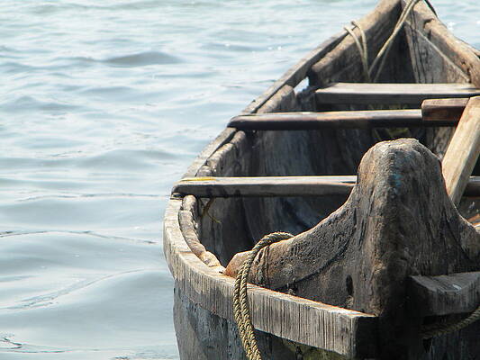 Taking rest by Shyju C K