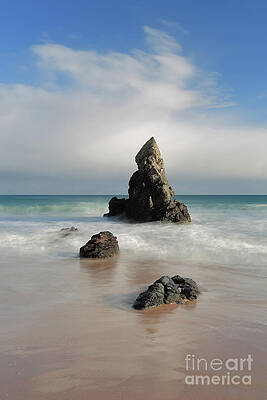 Wall Art - Photograph - Tall And Proud on Sango Bay by Maria Gaellman