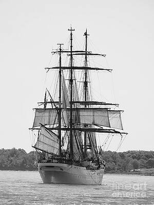 Wall Art - Photograph - Tall Ship in Black and White by Beth Myer Photography
