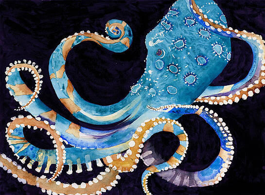 Blue Ringed Octopus Paintings Pixels