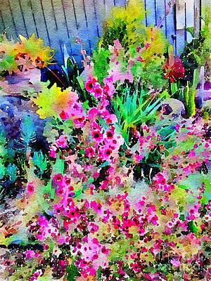 Tea Tree and Succulents Garden by John Castell Tea Tree and Succulents Garden by John Castell