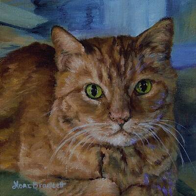 Tela by Lori Brackett Tela by Lori Brackett